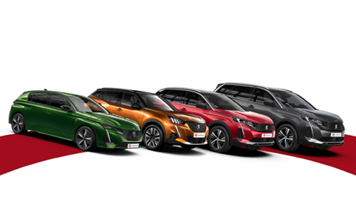 Filo Faturaları – DMS Entegrasyon fatura tipi